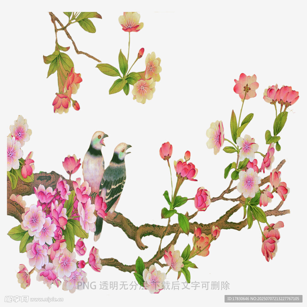 花鸟枝头图