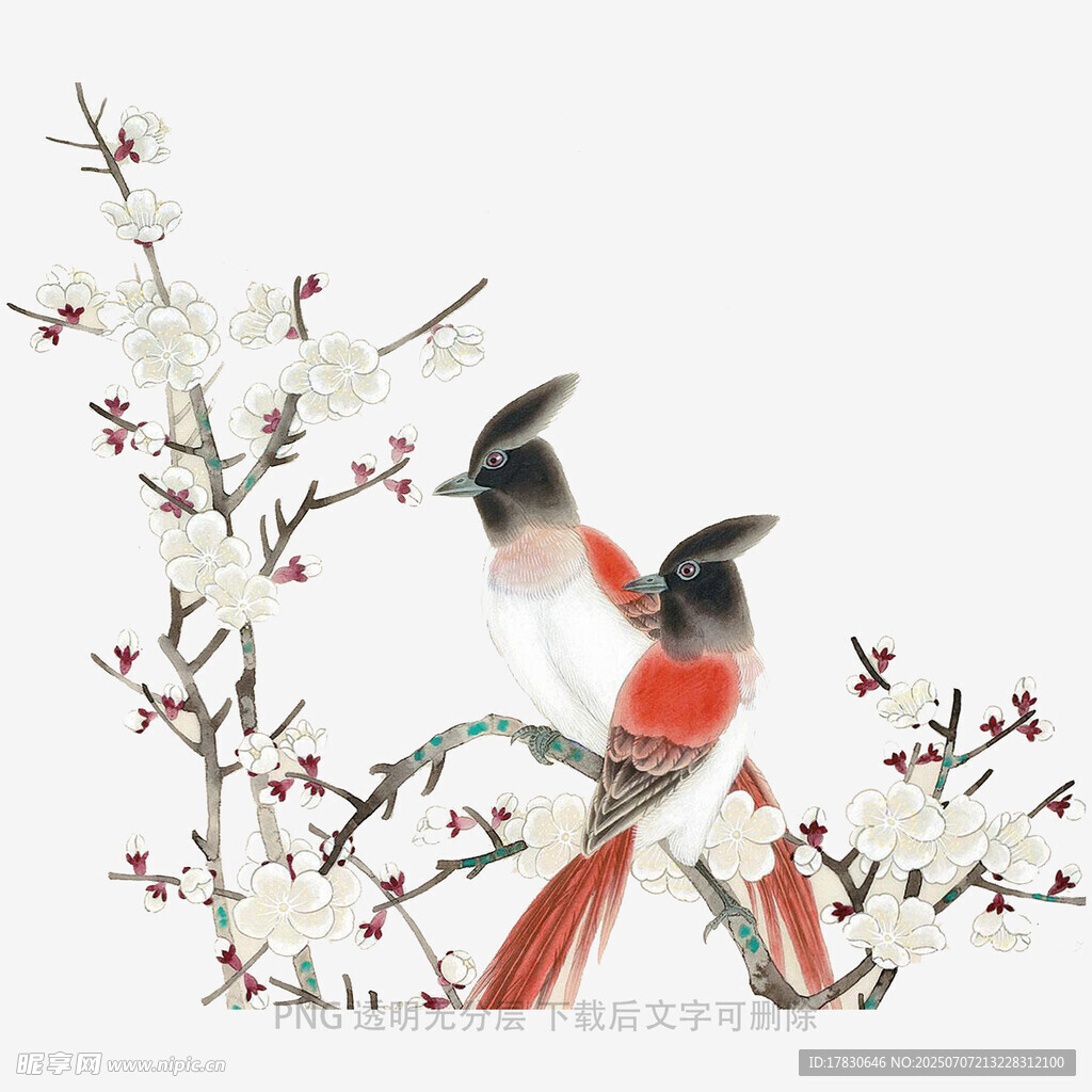 双鸟栖于花枝间