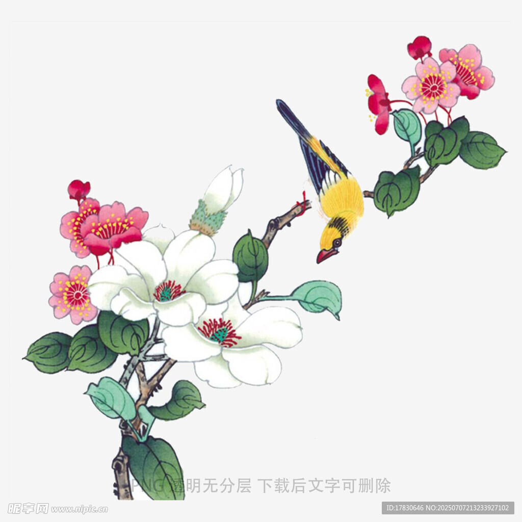 花鸟枝头图