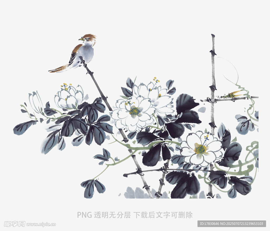 枝头小鸟伴繁花