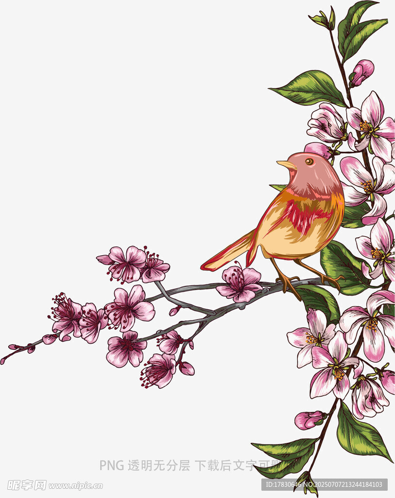 枝头小鸟伴繁花
