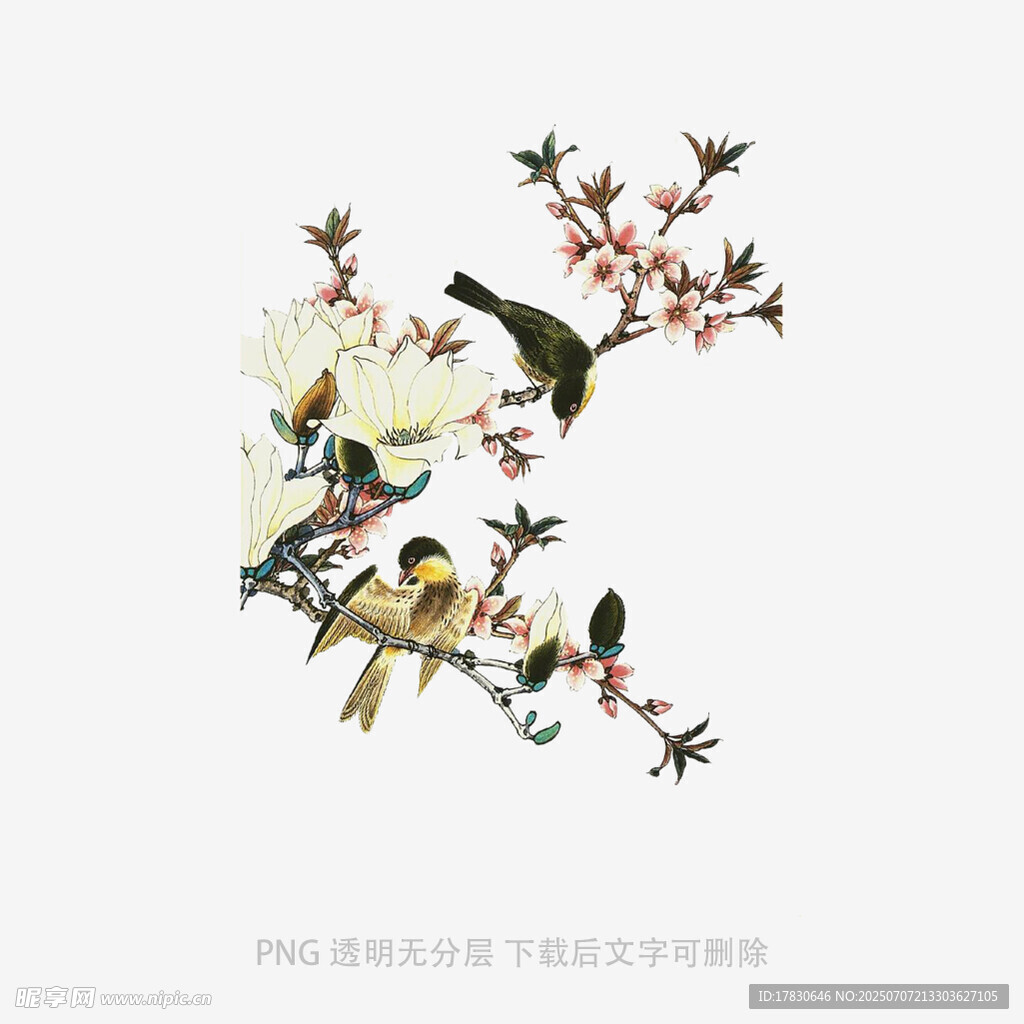 花鸟枝头图