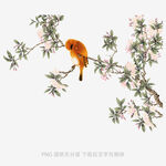 花鸟