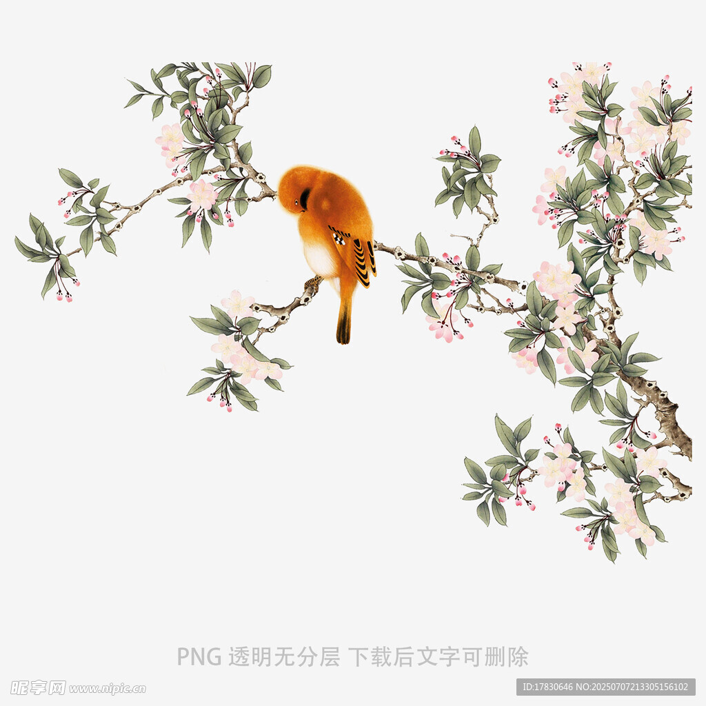 花鸟