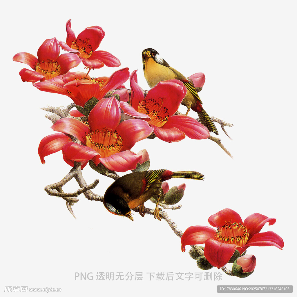 枝头繁花栖双鸟