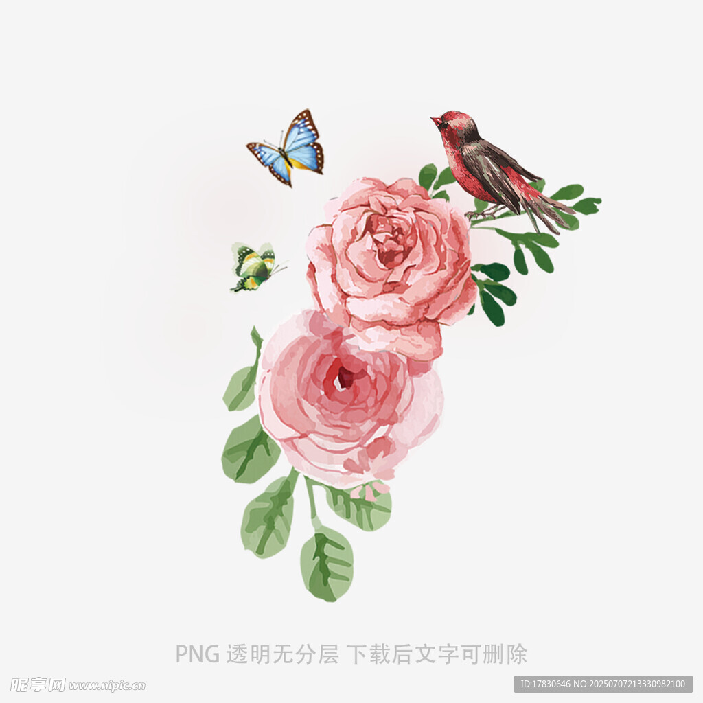 水彩花鸟玫瑰插画