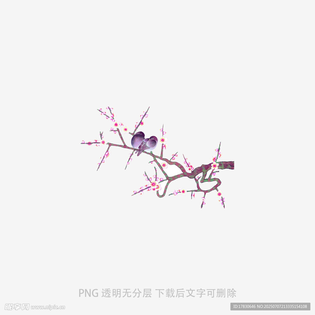 枝头双鸟栖于繁花间