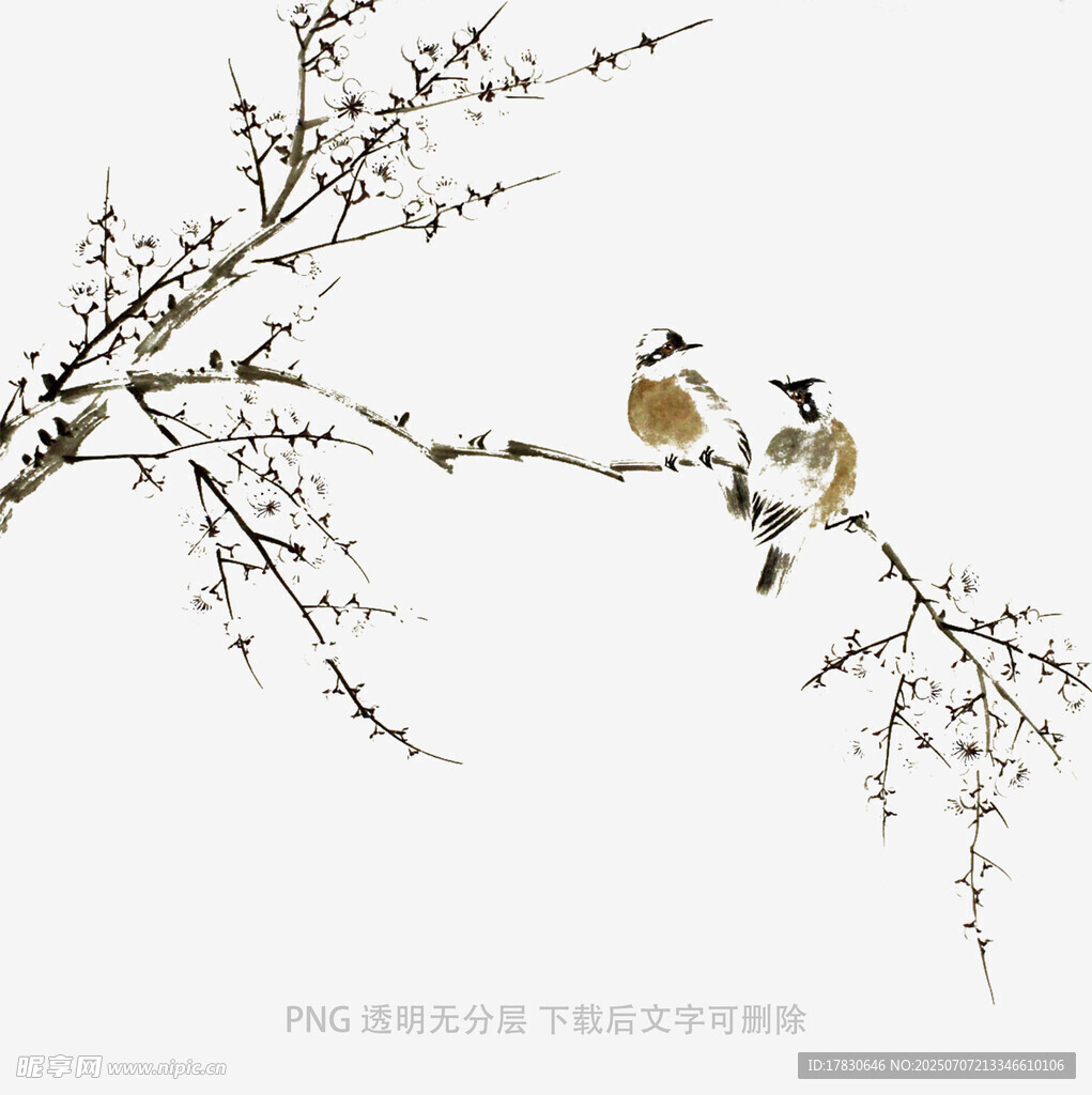 枝头双鸟图