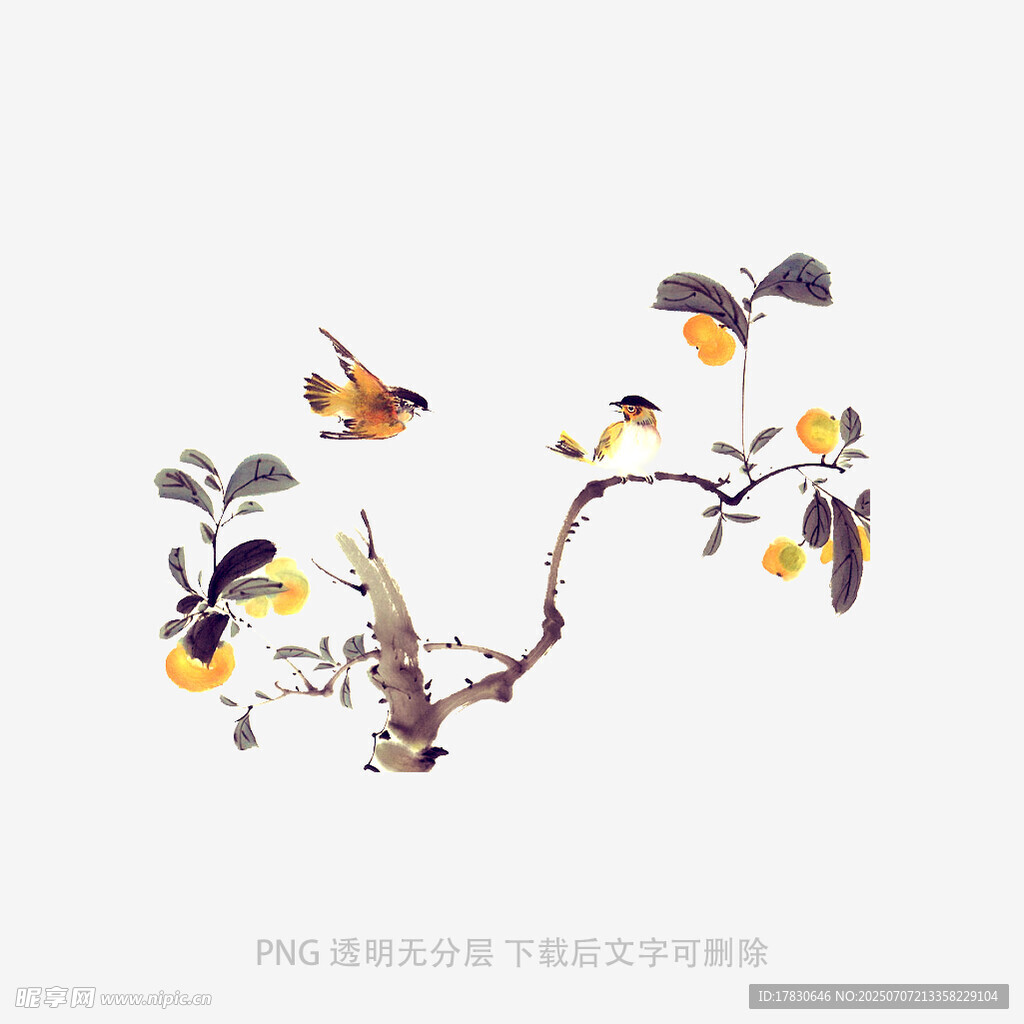 中式花鸟枝头图