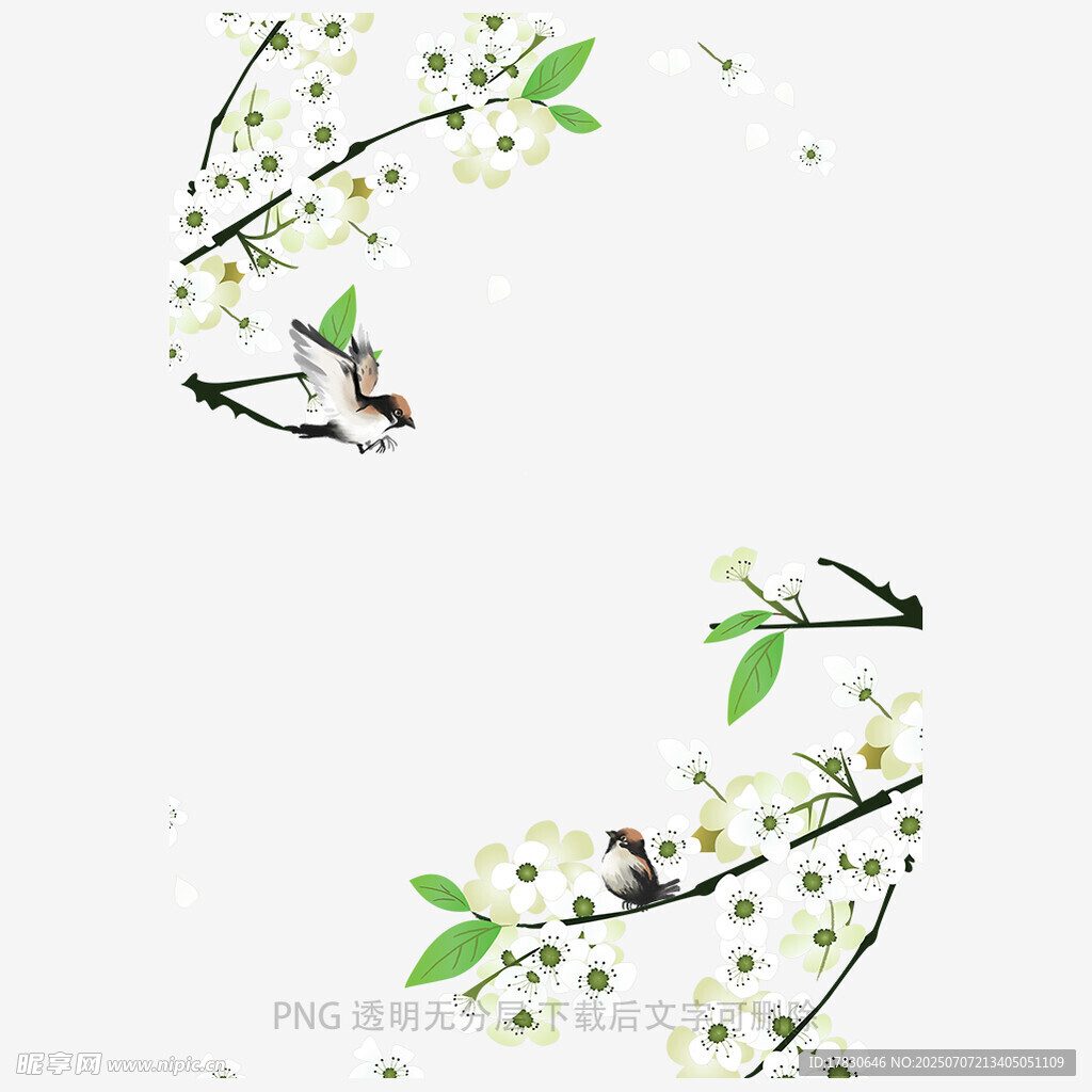 枝头小鸟与繁花插画