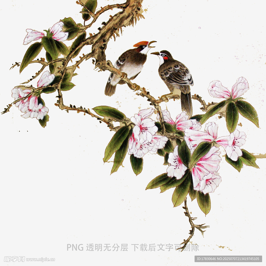 枝头双鸟伴繁花