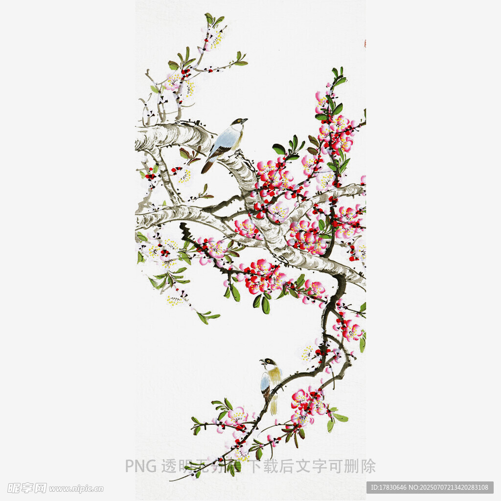 花鸟枝头图