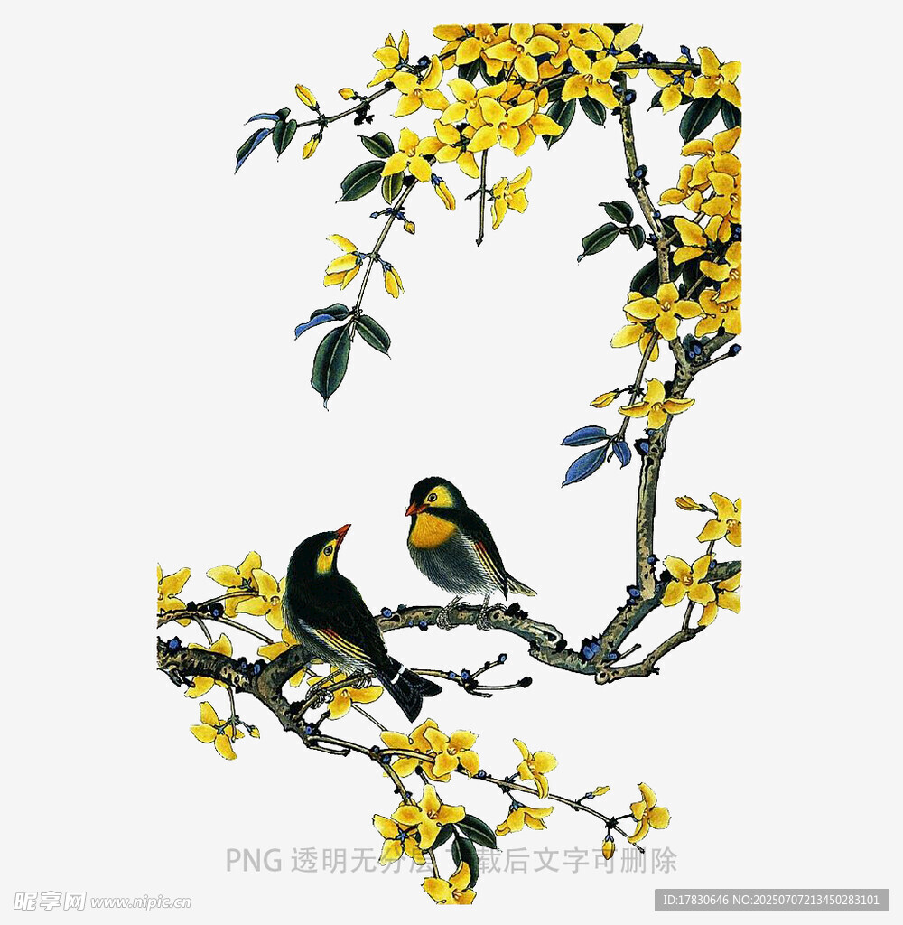 枝头双鸟伴繁花