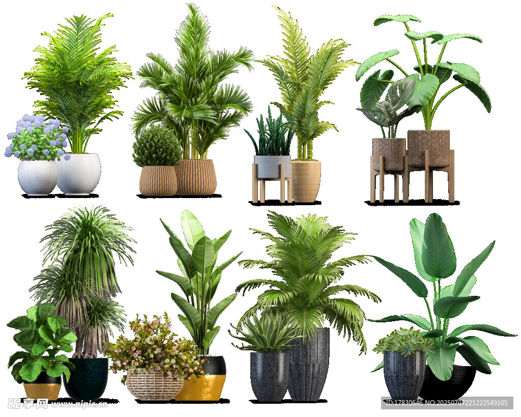 多样室内绿植盆栽展示