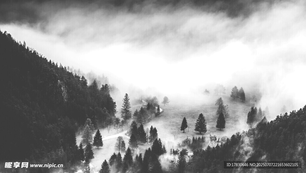 山间云雾缭绕的森林美景
