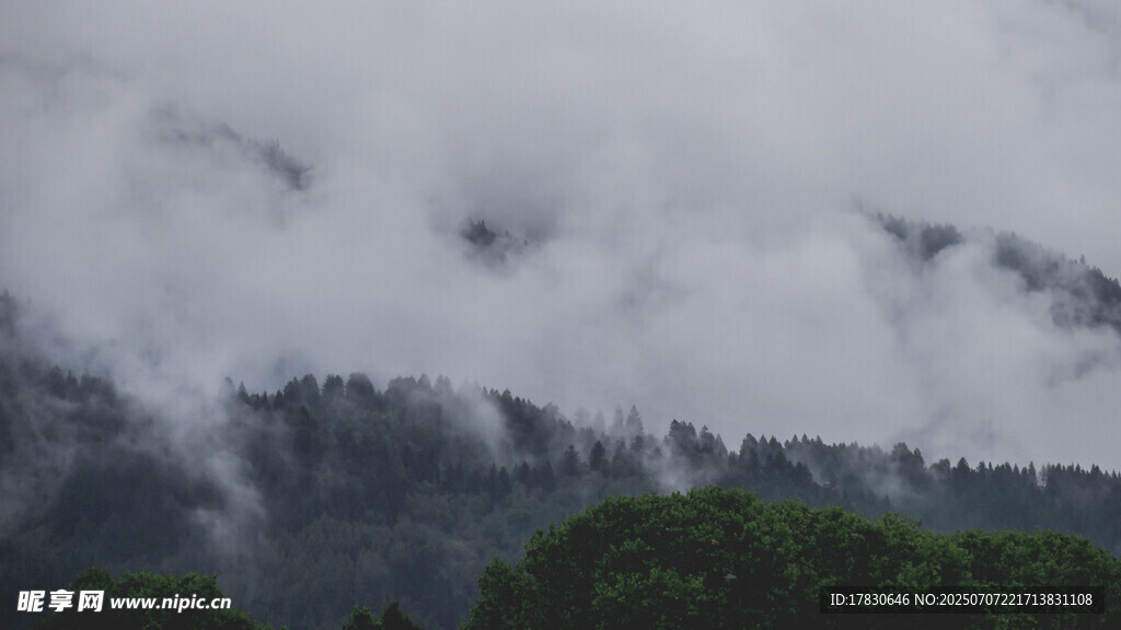 云雾缭绕的山林美景