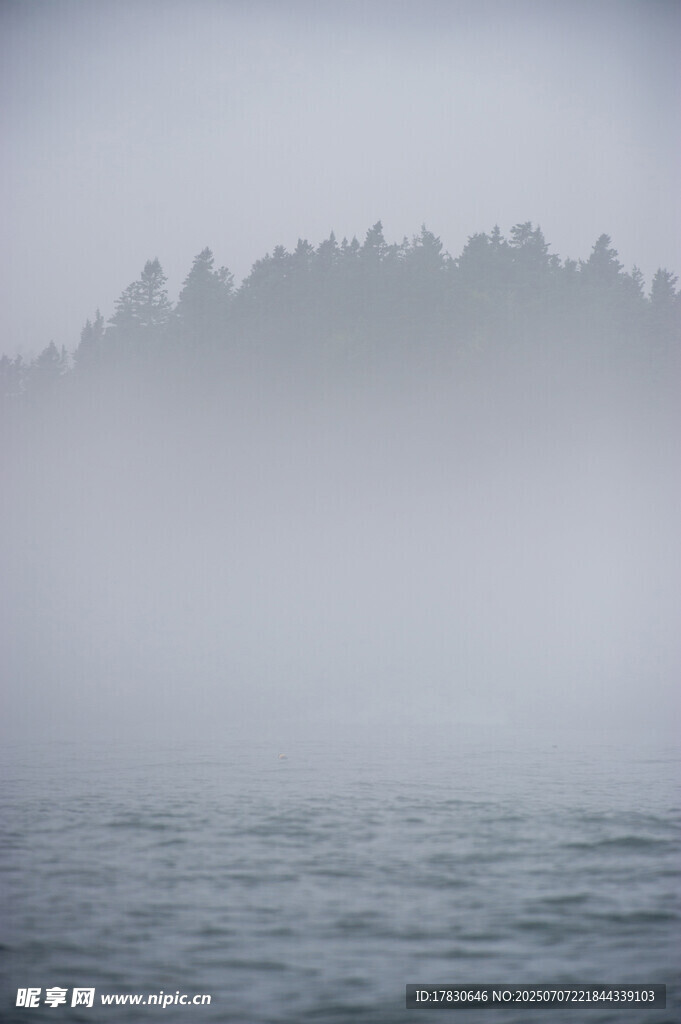 雾中湖畔森林美景