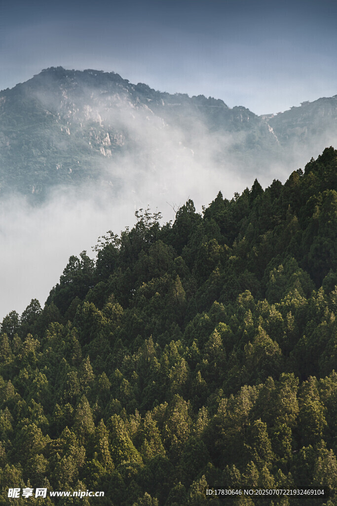 山林云海间的自然美景
