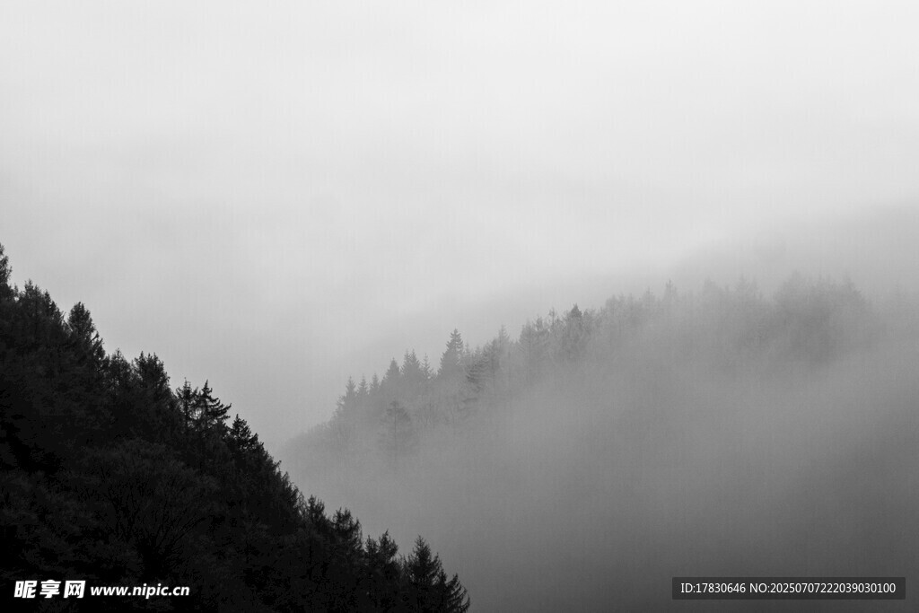 山间云雾缭绕的森林美景