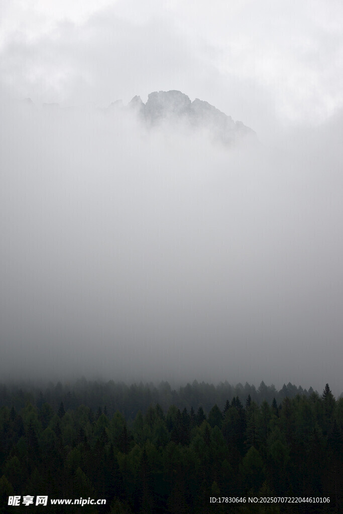 云雾缭绕中的山林景观