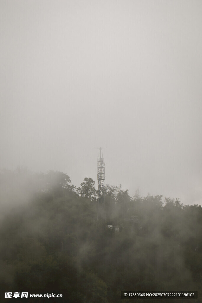 雾中朦胧山林景象