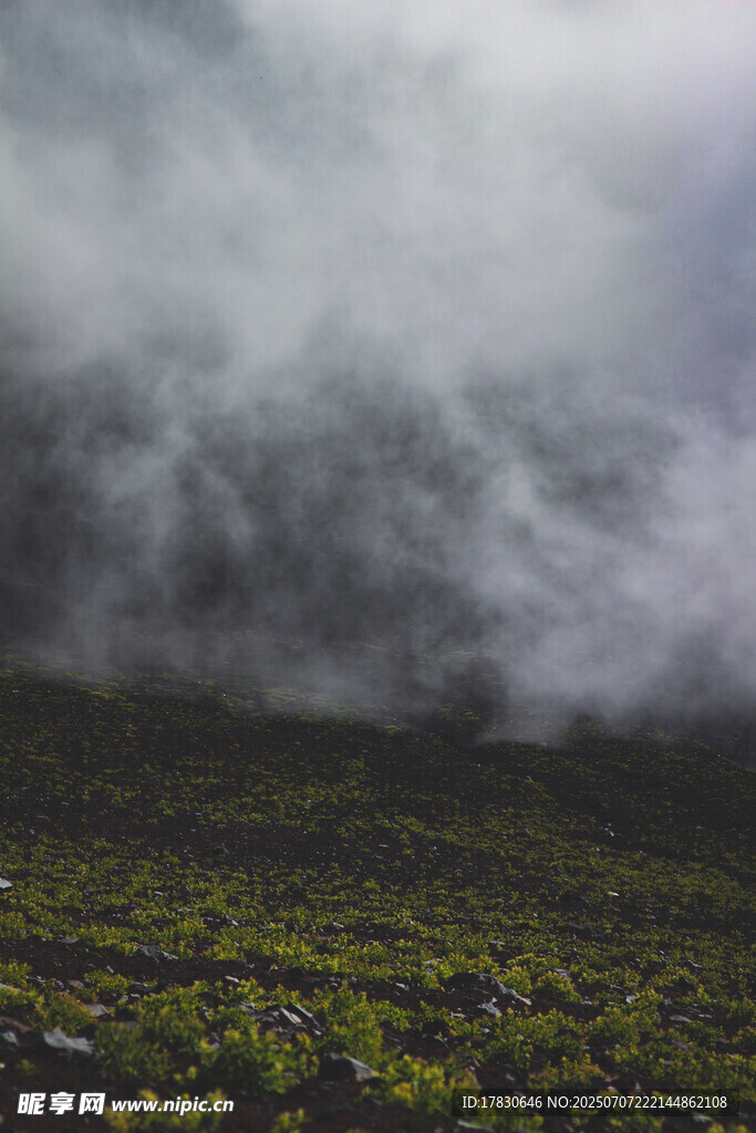 云雾缭绕的山间草地