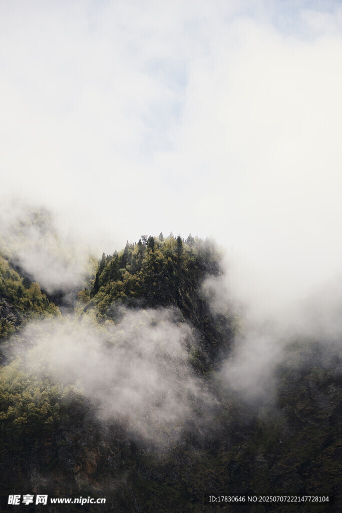 云雾缭绕的翠绿山峦
