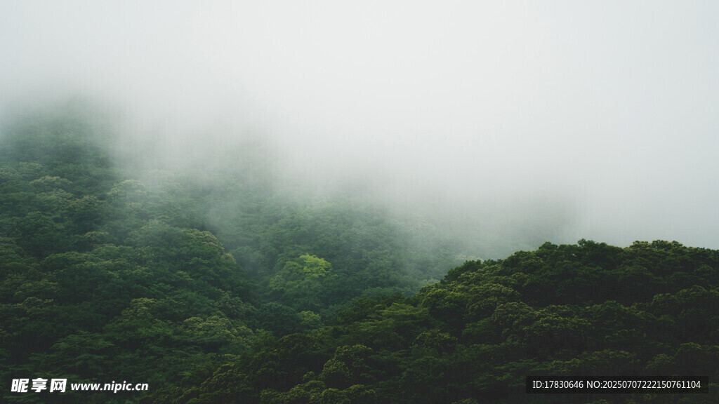 云雾缭绕的翠绿山峦