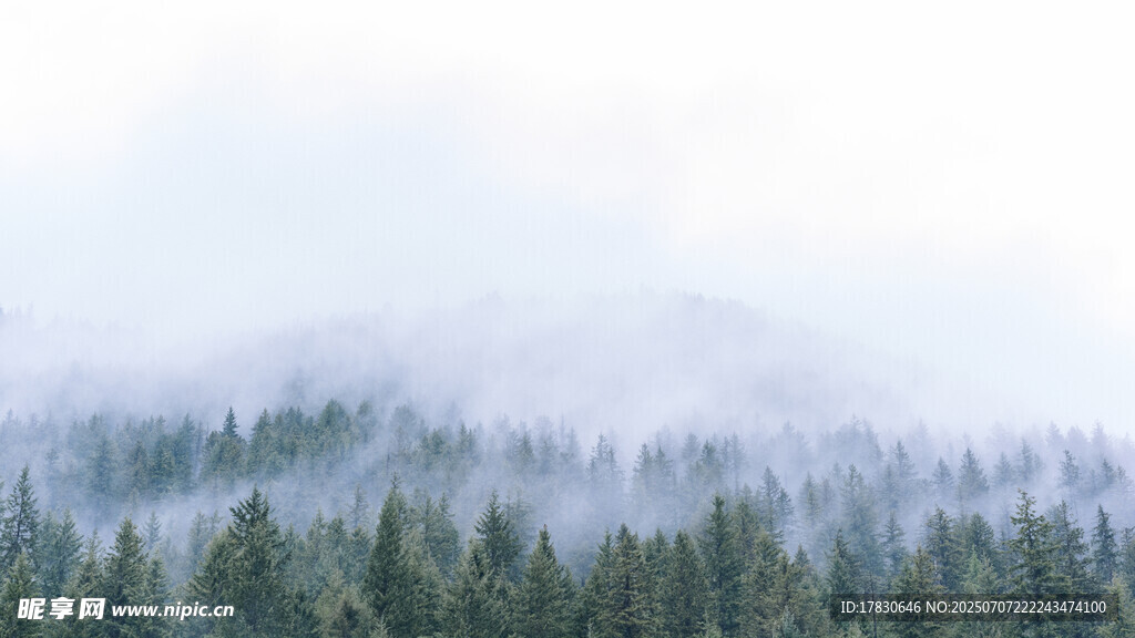 山林云雾缭绕美景