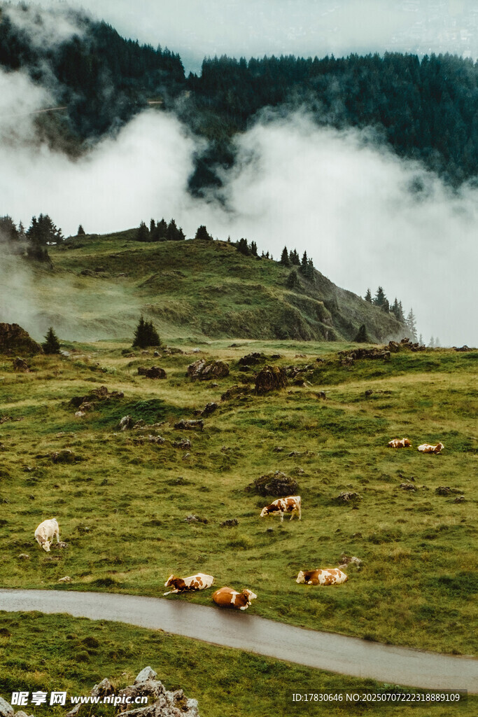 山间牧场景色如画