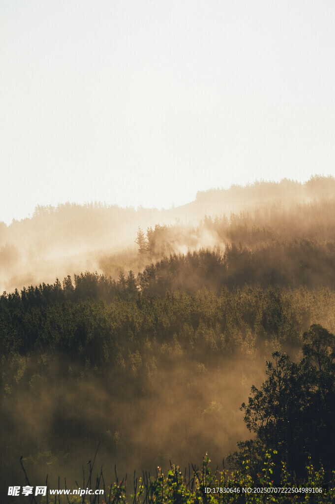 晨雾中的山林美景