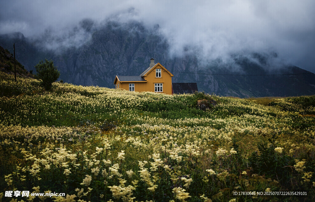 山间小屋旁的烂漫花海