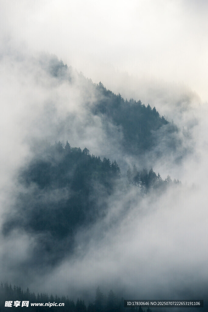 云雾缭绕的山林美景