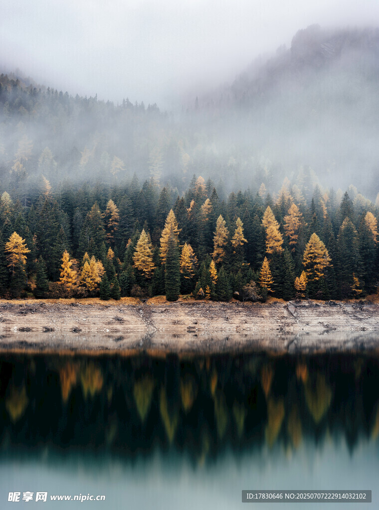 雾中湖畔秋色美景