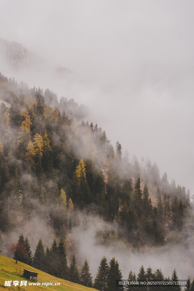 山间云雾缭绕的秋日美景