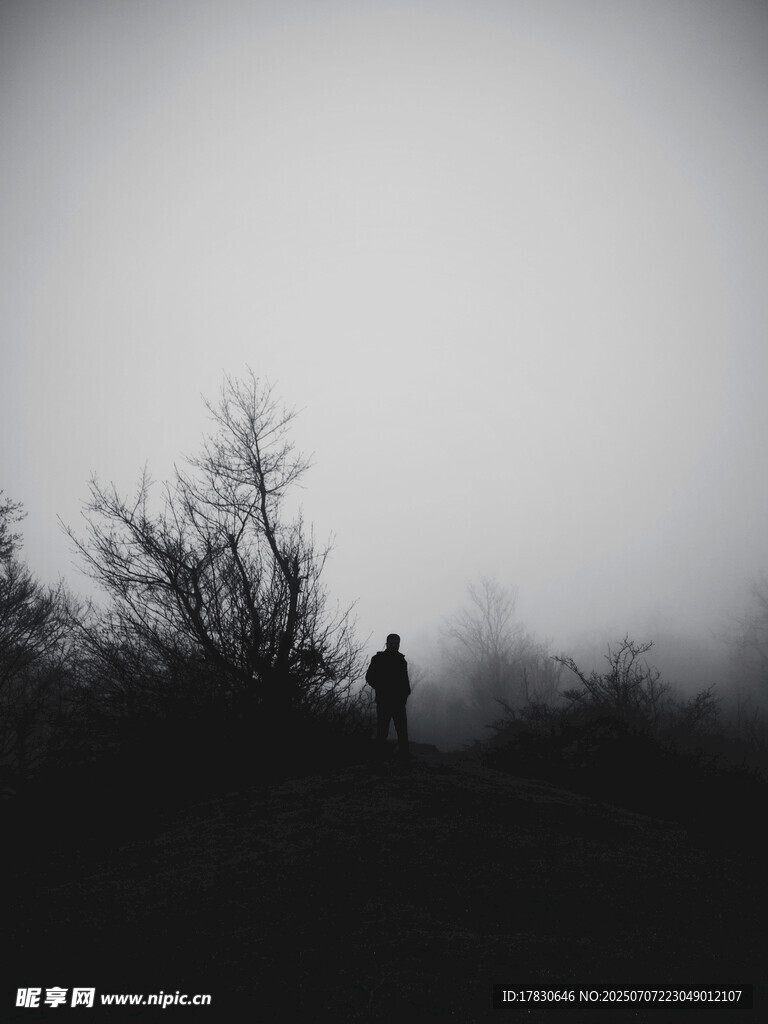 雾中独行者