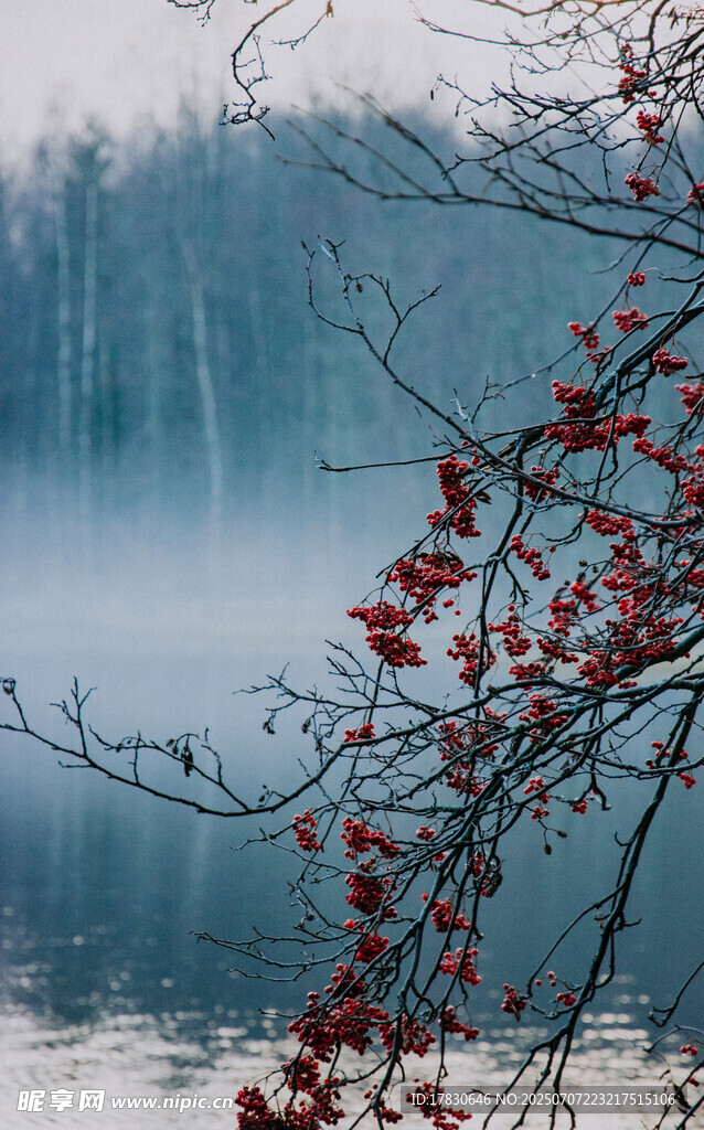 雾中湖畔红枝美景