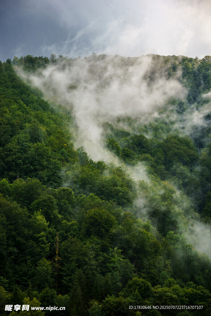 山林云雾缭绕的自然美景