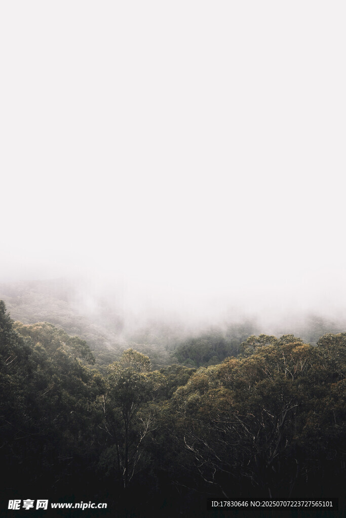 山林云雾缭绕美景