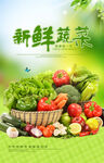 新鲜蔬菜