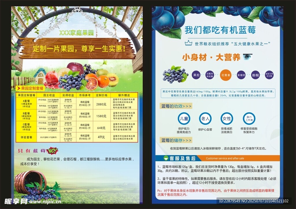 蓝莓DM单