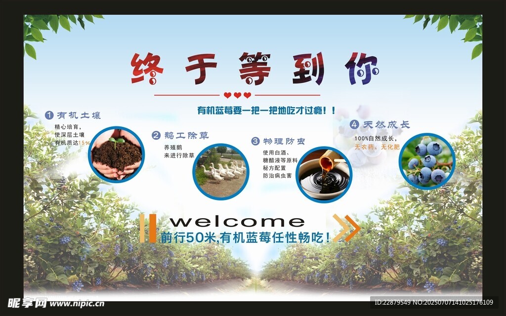 蓝莓基地喷绘