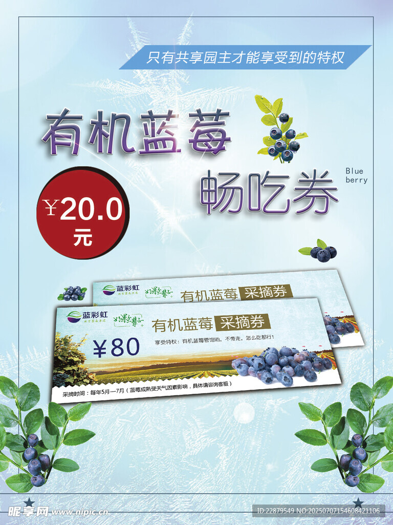 有机蓝莓采摘券宣传海报