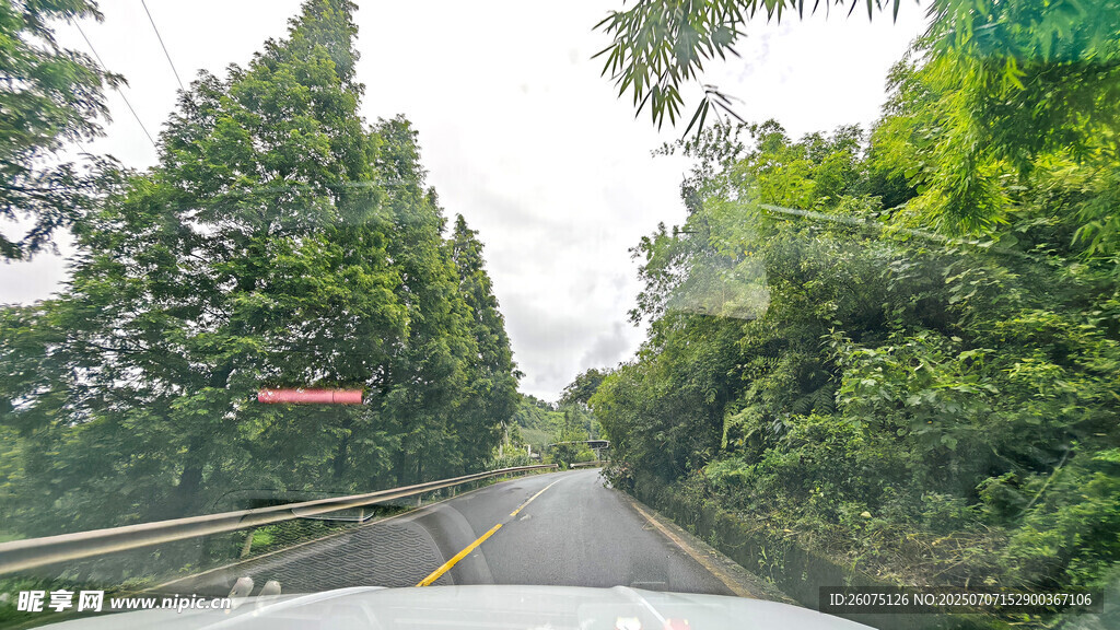 林间公路