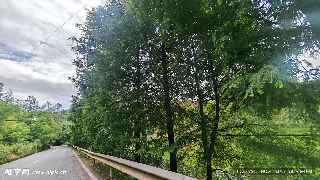林间公路
