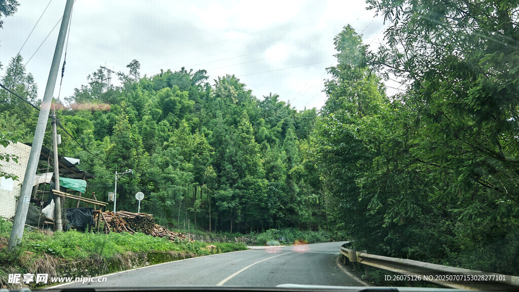 蜿蜒公路穿行于葱郁树林
