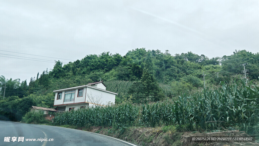 山间农舍旁的绿意田园