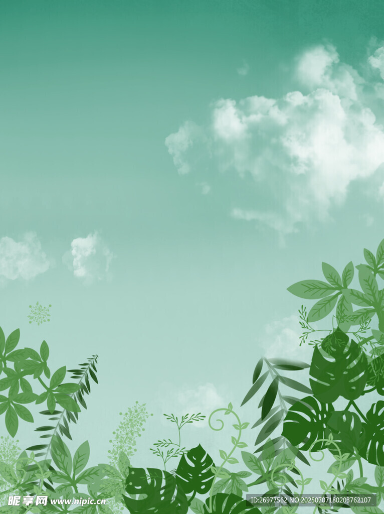 清新绿意天空下的植物