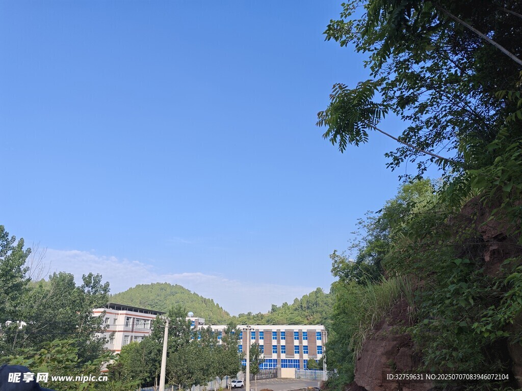 绿树环绕中的建筑景观