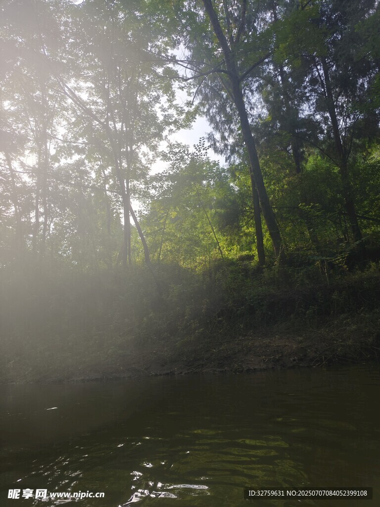林间晨雾中的静谧水面